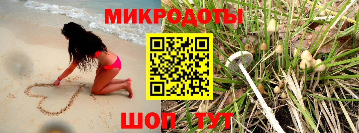 Галлюциногенные грибы Psilocybe Ишимбай